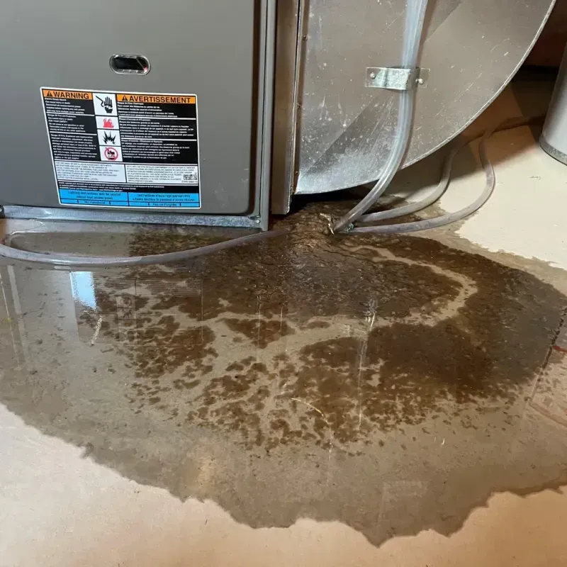 Appliance Leak Cleanup in Fort Ashby, WV